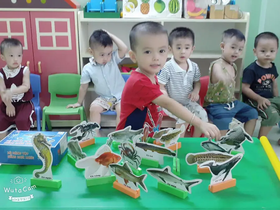 Mầm Non Lan Phương