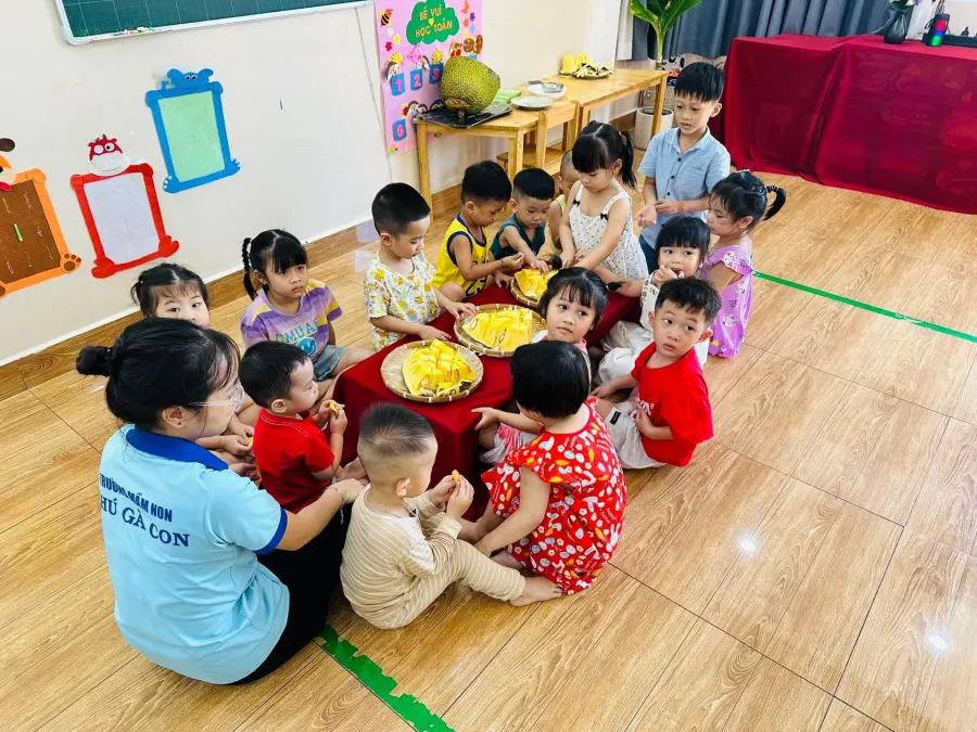 Trường Mầm Non Chú Gà Con