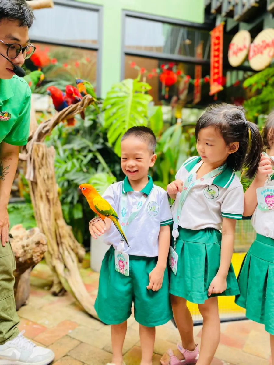 Trường Mầm Non Quốc Tế Việt Úc Khang Điền