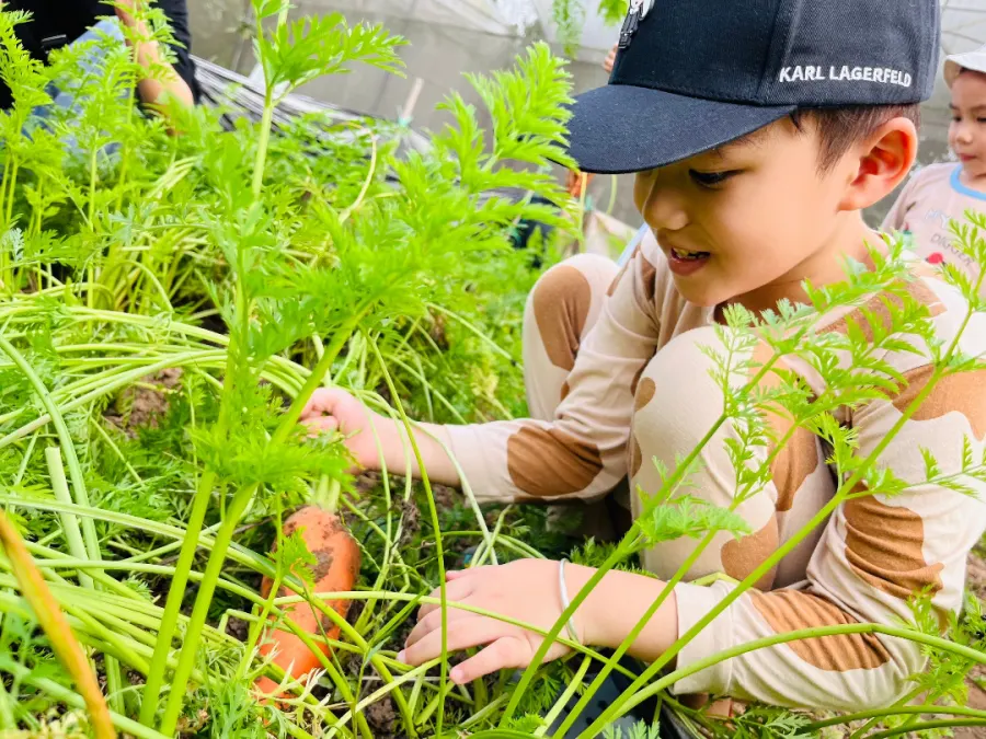 Trường Mầm non Cây Xanh - Green Tree Preschool