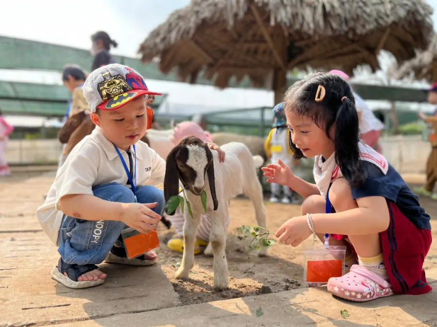 Trường Mầm non Cây Xanh - Green Tree Preschool