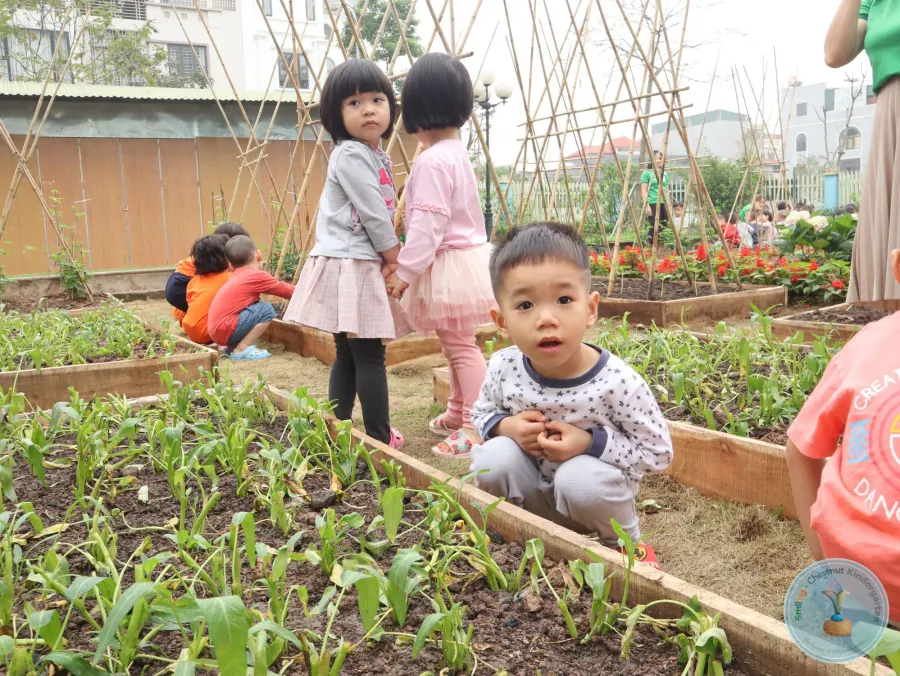 Trường Mầm non Hạt Dẻ Cười- Smiling Chestnut Kindergarten