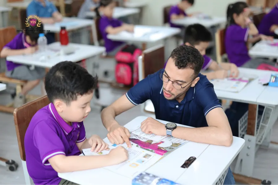Trường Phổ Thông Quốc Tế Việt Nam (VIS)