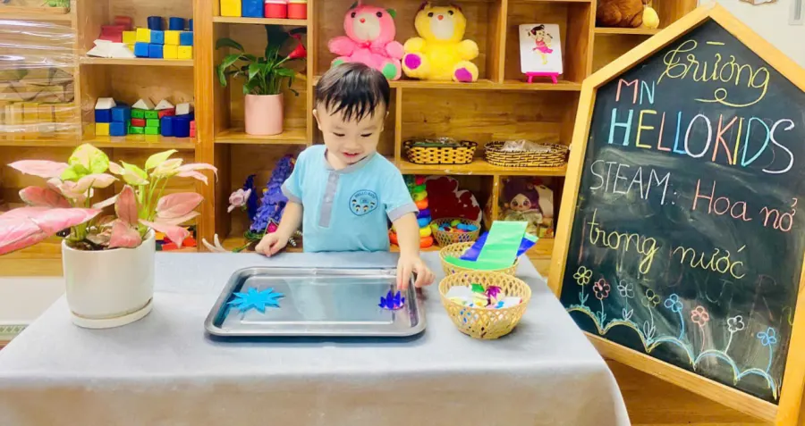 Mầm Non Hello Kids - Liên Bảo, Vĩnh Phúc