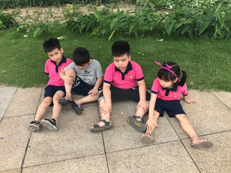 Trường mầm non Hoa Anh Đào