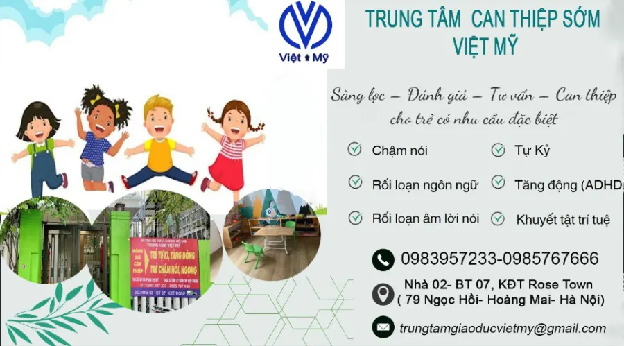 Trung Tâm Can Thiệp Việt Mỹ - KĐT Rose Town, Hoàng Mai