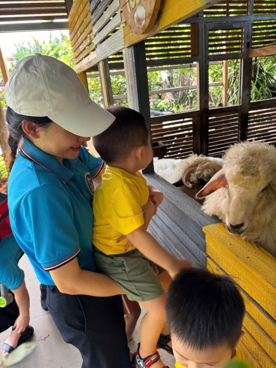 Trung tâm hỗ trợ phát triển giáo dục hoà nhập Búp Măng Non - Linh Trung, Thủ Đức
