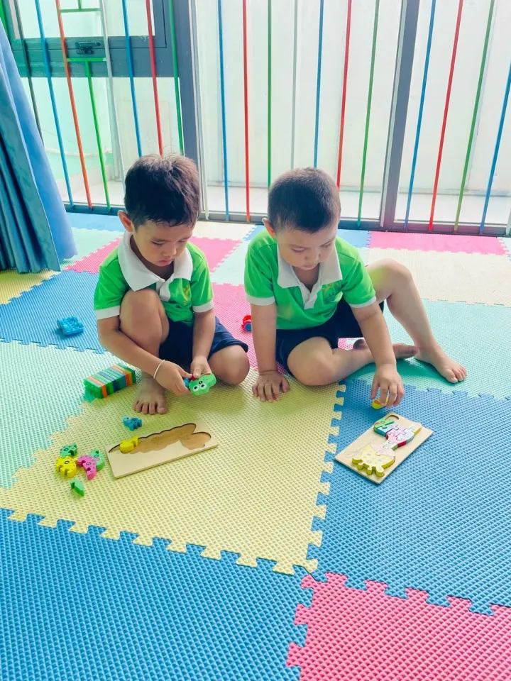 Mầm Non Hoa Ban Mai Xanh