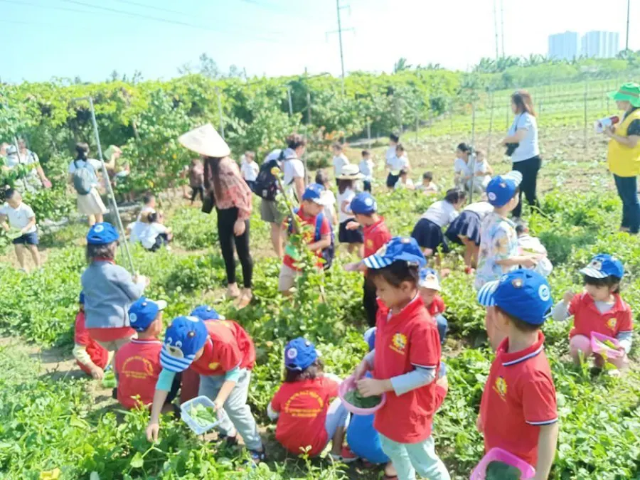 Mầm non Hoa Mặt Trời