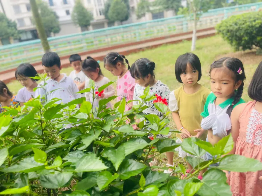 Trường Mầm Non Vầng Trăng - Ninh Xá, Bắc Ninh