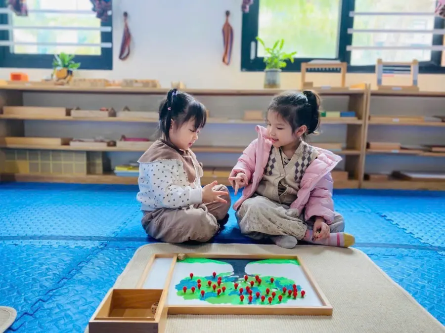 Mầm Non Maya Lào Cai Montessori - Phường Cam Đường