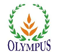Mầm Non Olympus- Yết Kiêu