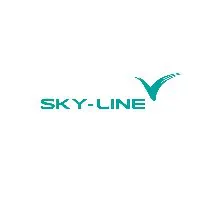 Hệ thống Giáo Dục Sky-Line - Cơ sở Beach Trần Anh Tông, Thanh Khê