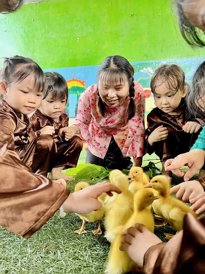 Trường Mầm Non Ánh Sao