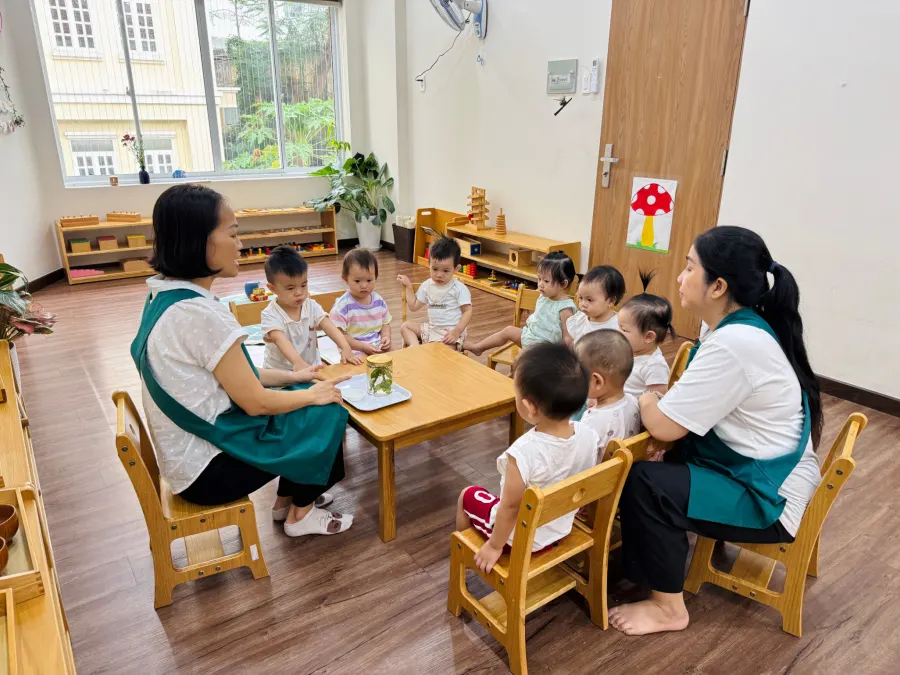 Trường Mầm Non La Mia Casa Montessori