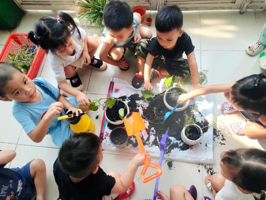 Trường Mầm Non Việt Đức 2 - Phường 17, Bình Thạnh