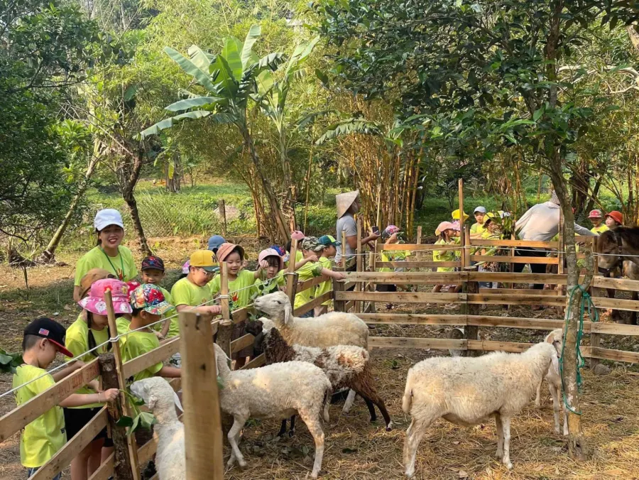 Mầm Non Mặt Trời Hồng - Phan Văn Định, Đà Nẵng