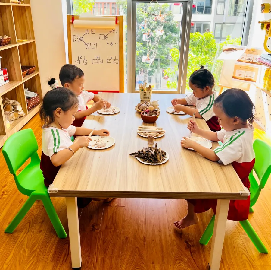 Trường Mầm Non Vườn Táo