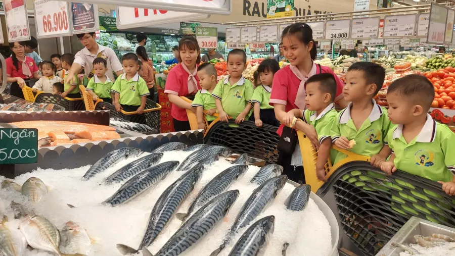 Mầm Non Ánh Trăng Vàng (Moonlight Preschool) - Phường 13, Bình Thạnh