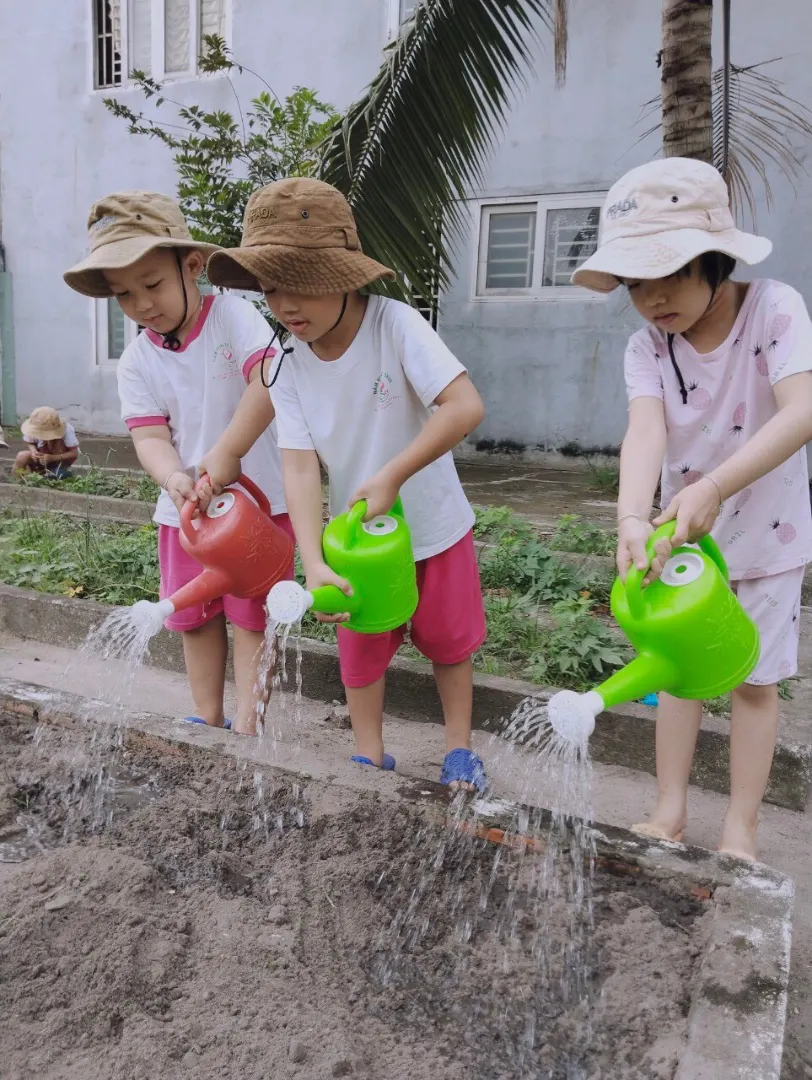 Trường Mầm Non Lộc Sen