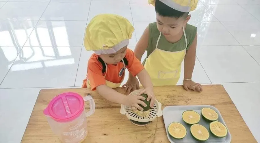 Mầm Non Song Ngữ Chim Én Mùa Xuân