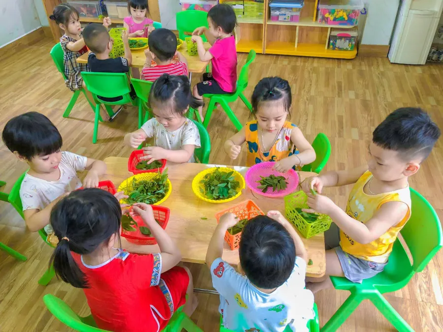 Mầm Non Zin Zin