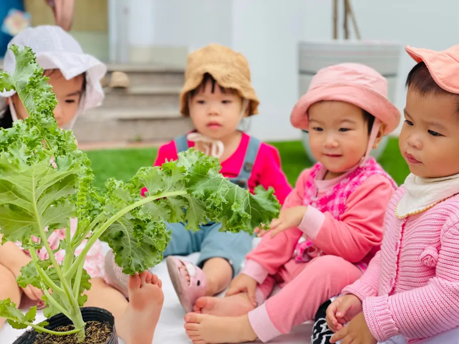 Hệ thống Mầm non Giáo dục sớm Đức Trí (Đức Trí Kindergarten) - Cao Xanh, Hạ Long