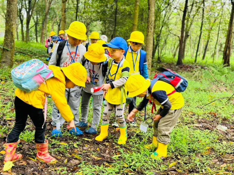 Mầm Non Cánh Đồng Mùa Xuân (SpringField Kindergarten)
