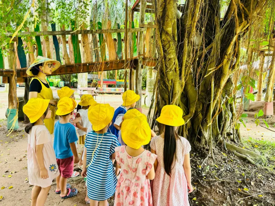 Mầm Non Cánh Đồng Mùa Xuân (SpringField Kindergarten)