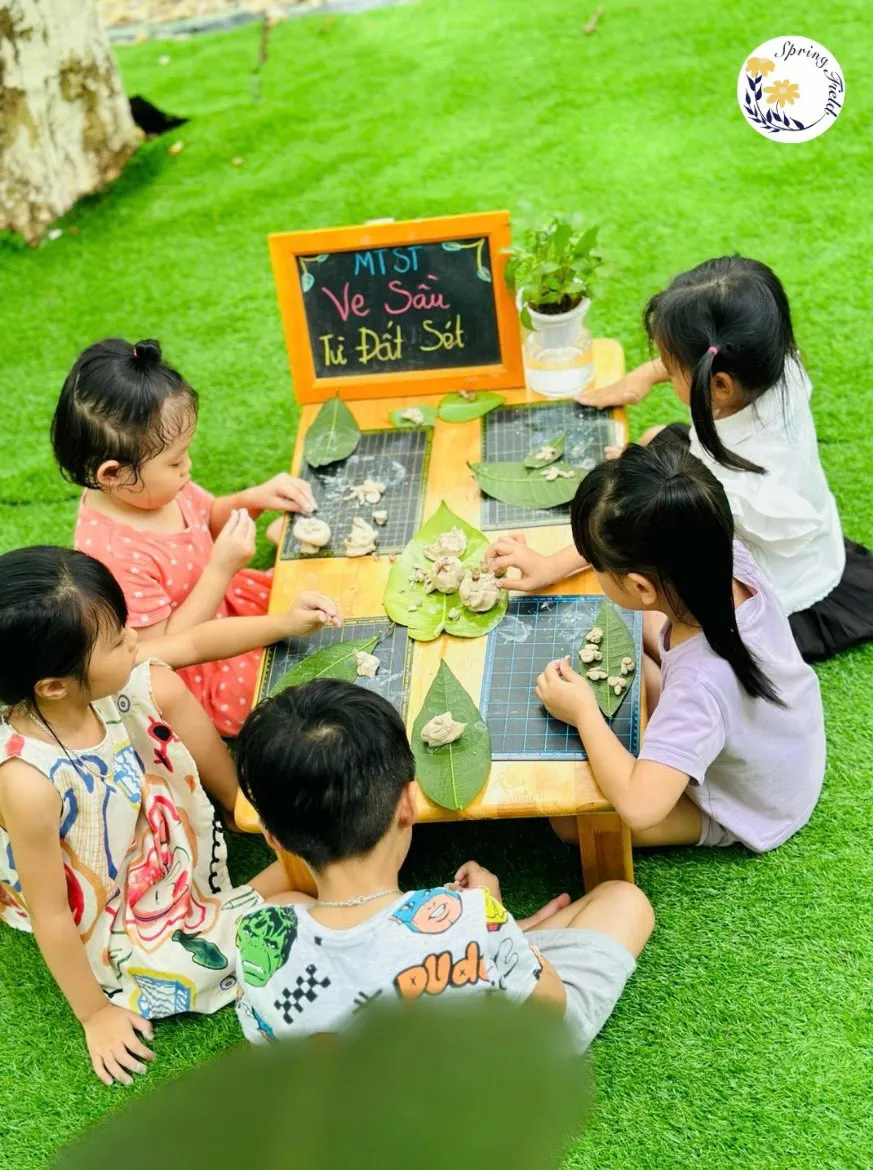 Mầm Non Cánh Đồng Mùa Xuân (SpringField Kindergarten)