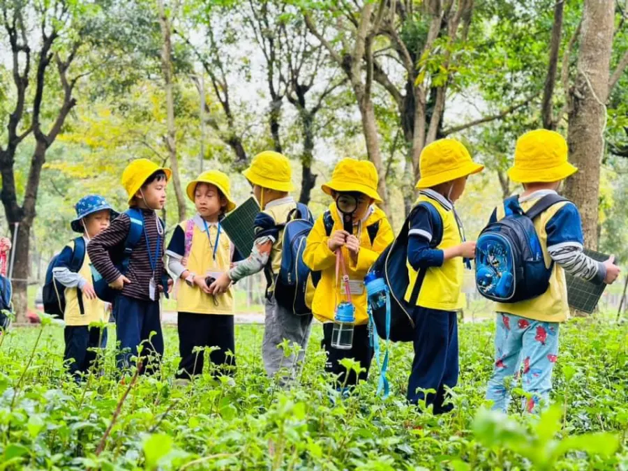 Mầm Non Cánh Đồng Mùa Xuân (SpringField Kindergarten)