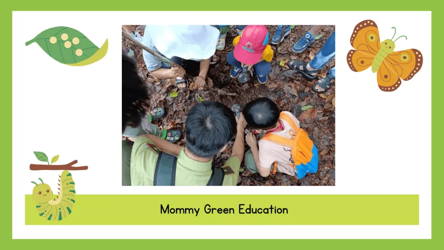 Trường Mầm Non Mommy Green Education