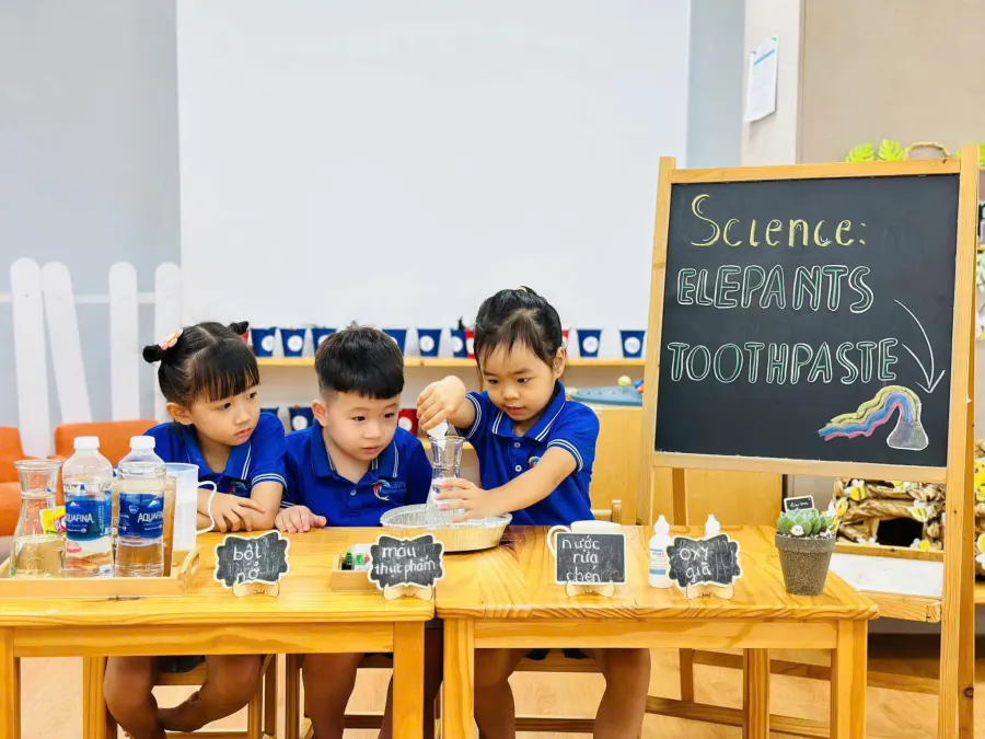 Trường Mầm Non Đại Dương Xanh - Blue Dream Montessori