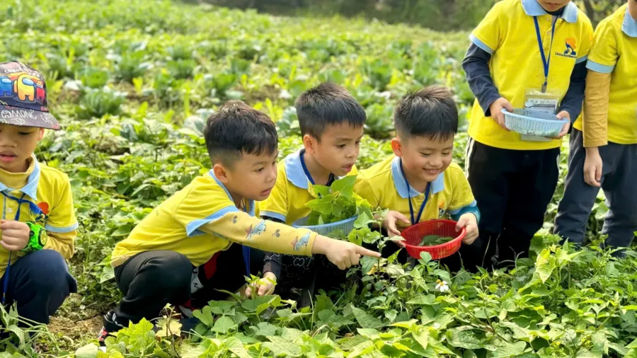 Trường Mầm Non Little Sol Montessori - Mỹ Đình