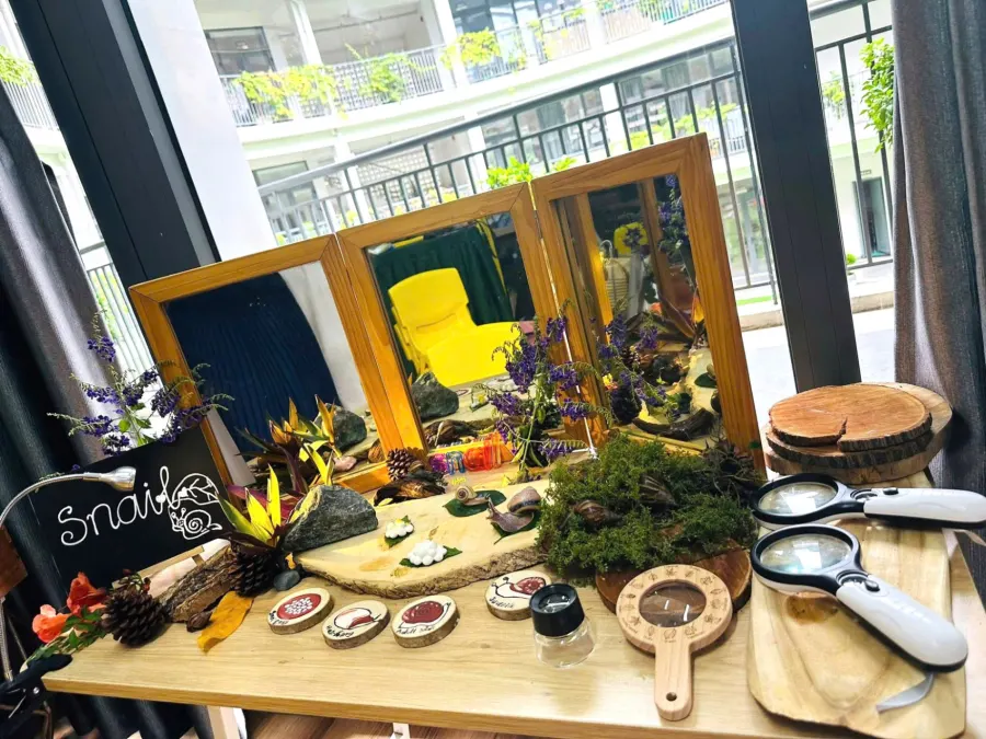 Trường Mầm Non Sắc Màu - Phường Phú Lợi