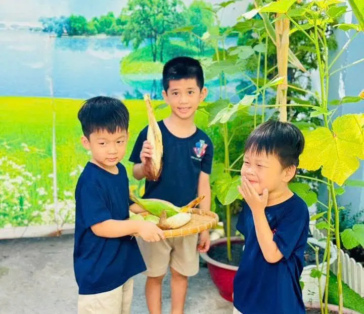 Trường Mầm Non Sắc Màu - Phường Phú Lợi