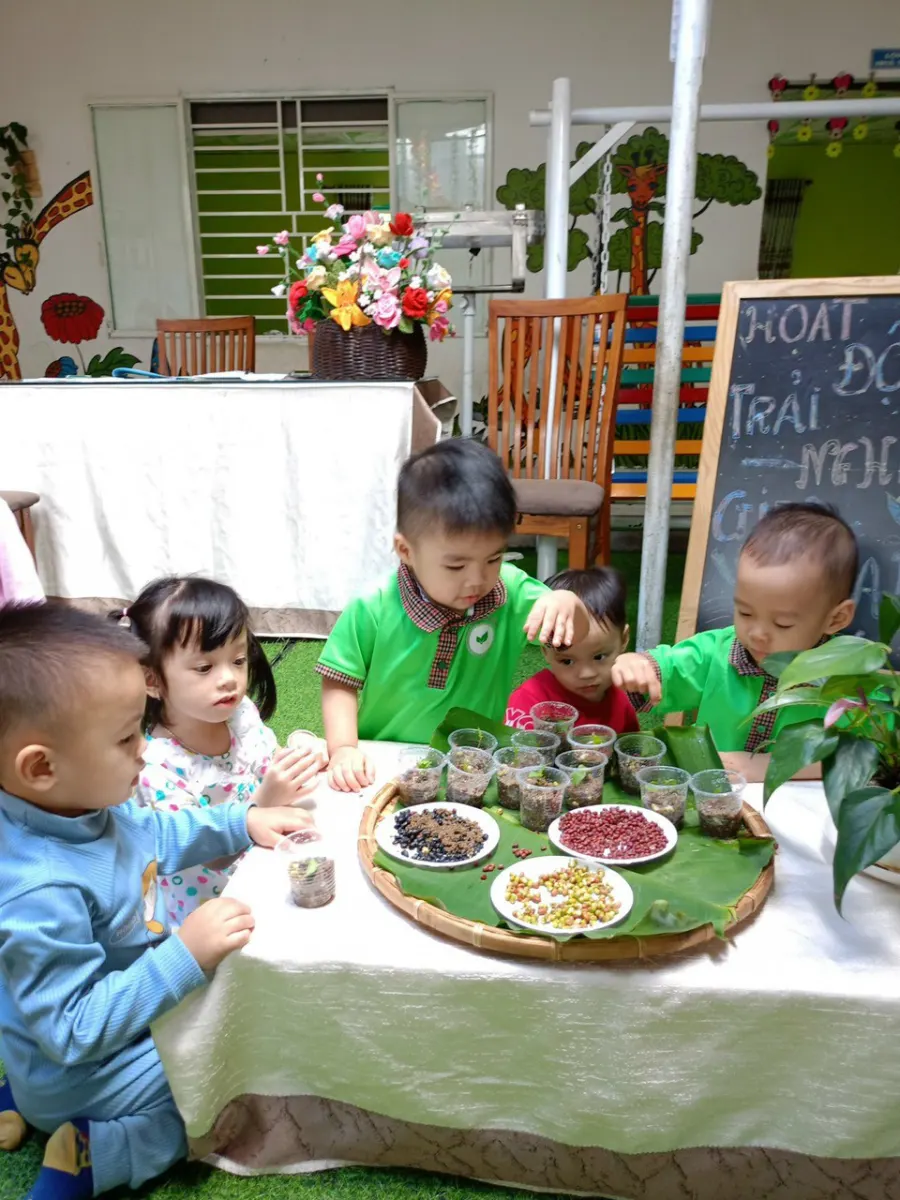 Mầm Non Mầm Xanh Montessori