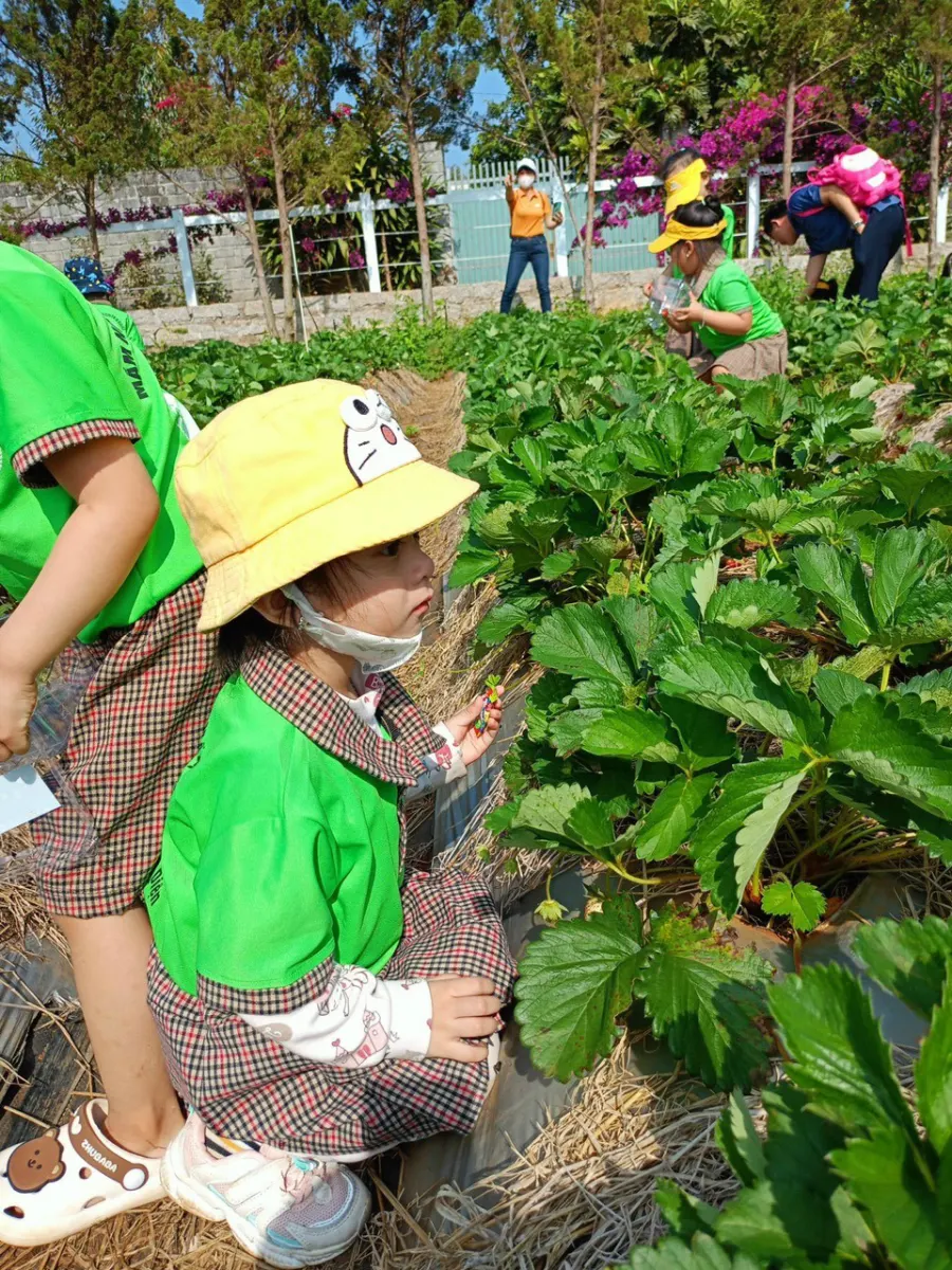Mầm Non Mầm Xanh Montessori