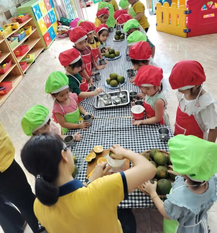 Mầm Non Ngôi Nhà Xanh