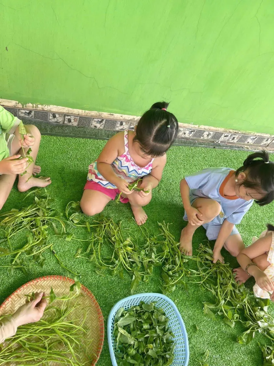 Mầm Non Ngôi Nhà Xanh