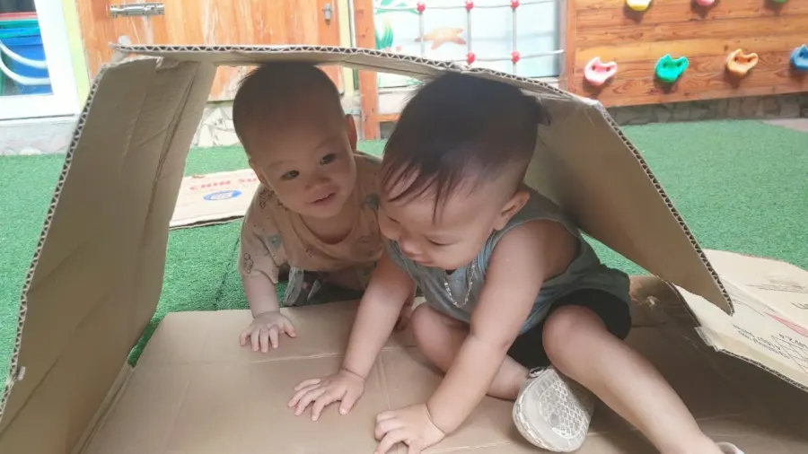 Mầm Non Trẻ Em Việt - Vietkids Plus