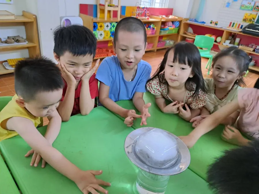 Mầm Non Trẻ Em Việt - Vietkids Plus