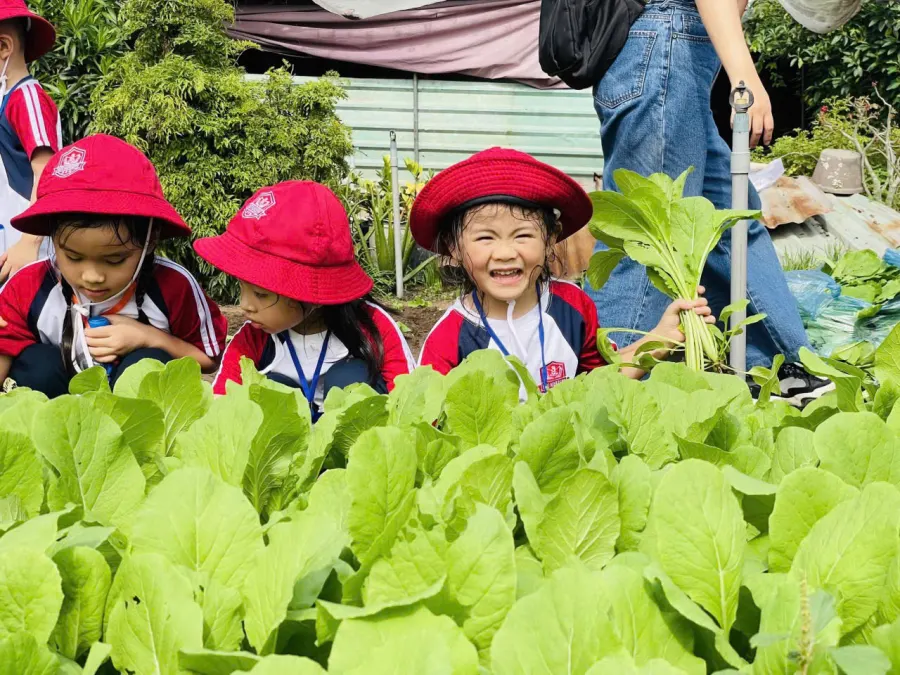 Hệ thống Mầm non Koi Nursery - CS Phạm Thế Hiển