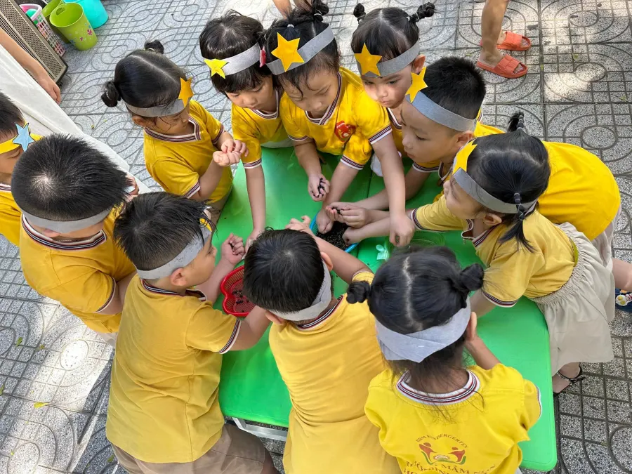 Trường Mầm Non Hoa Bình Minh