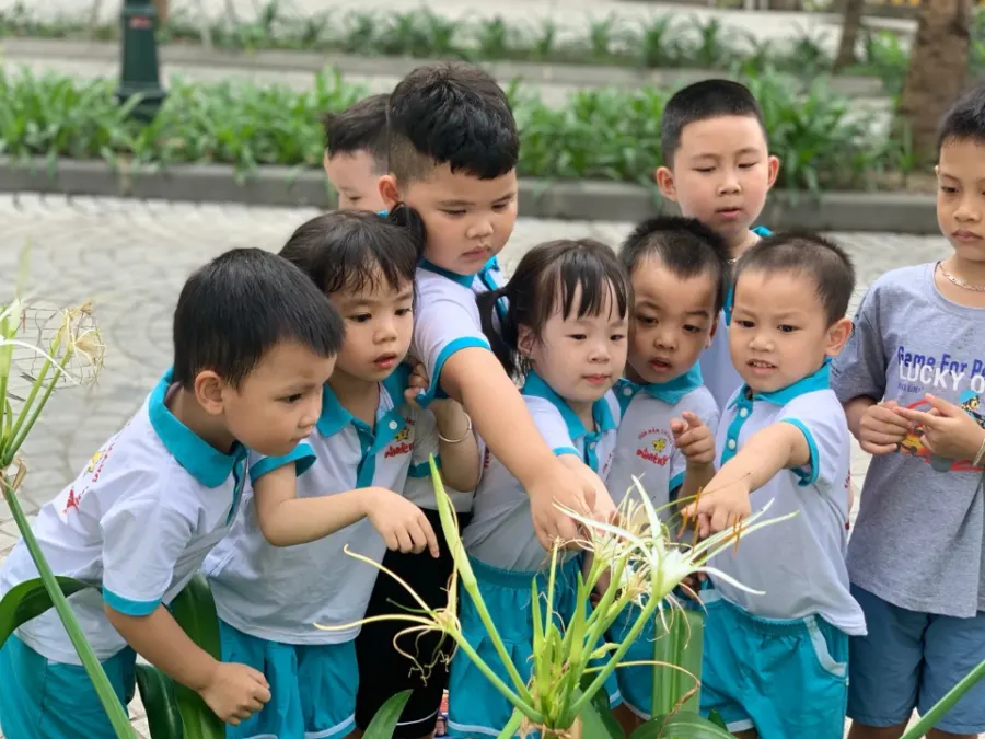 Trường Mầm Non Đồ Rê Mí Tân Mai