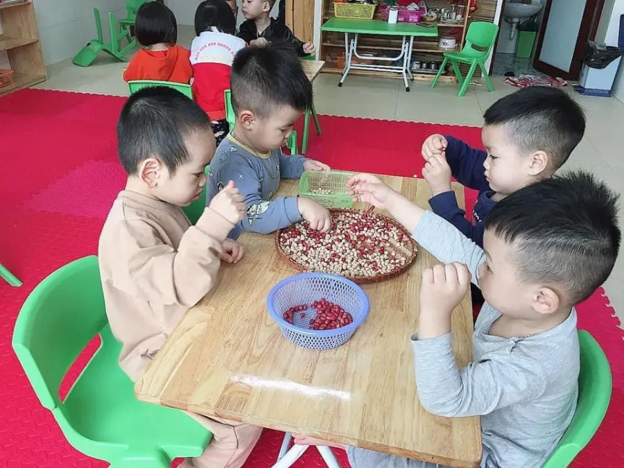 Cơ Sở Mầm Non Hoa Hướng Dương (SUNFLOWER) - Tân Mỹ Bắc Giang