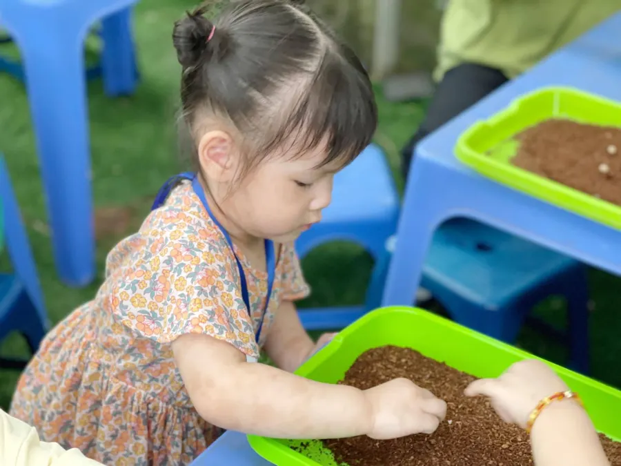 Mầm Non Bright Time School - Ecopark, Văn Giang