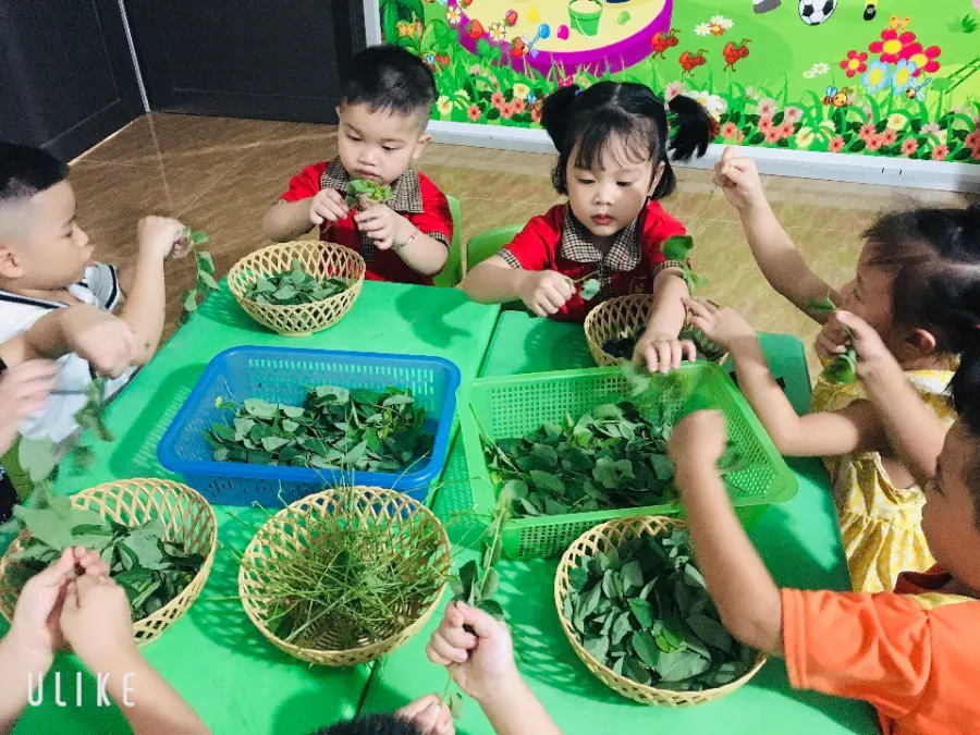 Trường Mầm Non Bình Minh