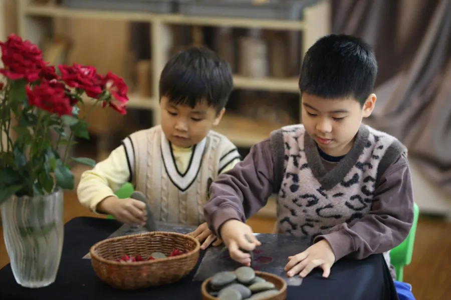 Mầm non song ngữ BeeHome