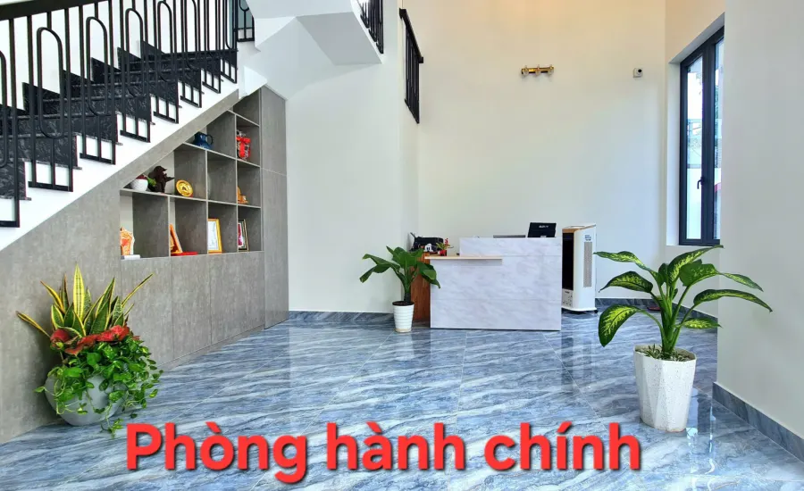 Trung tâm Giáo Dục Trẻ Tự Kỷ, Chậm Nói Hội An Dolphin52Hz